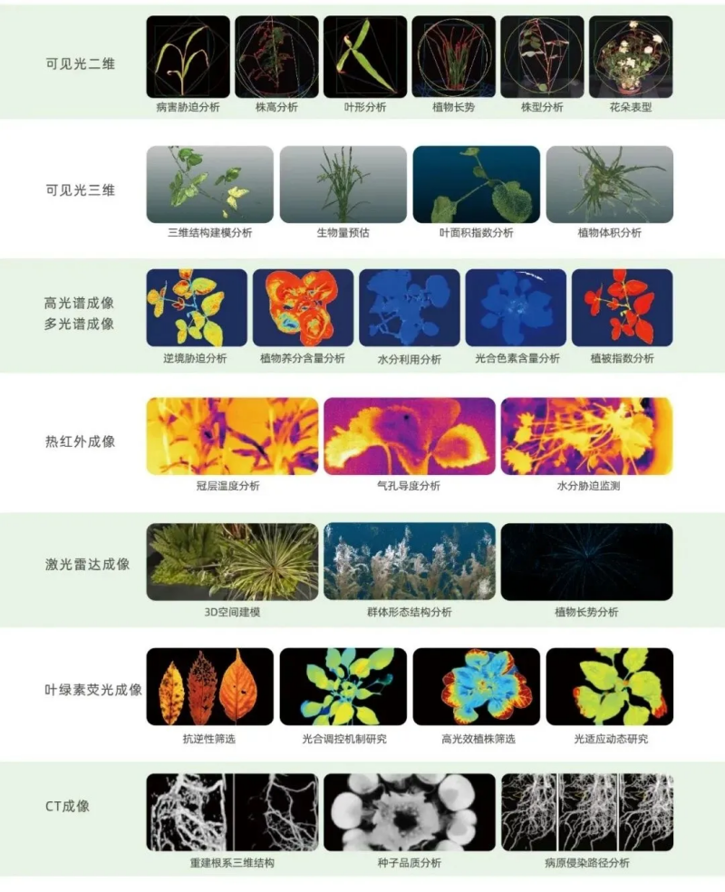 图片3_副本.png