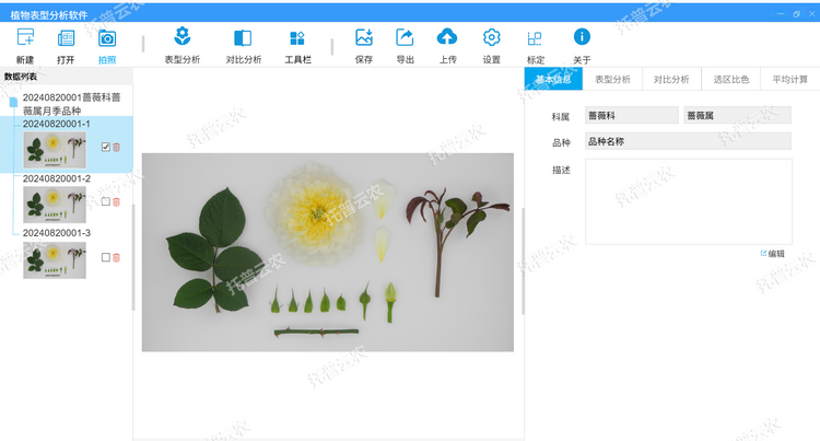 植物表型分析软件 水印.png