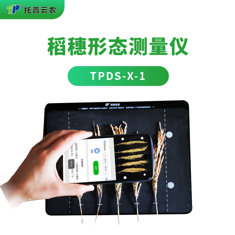 稻穗形态测量仪