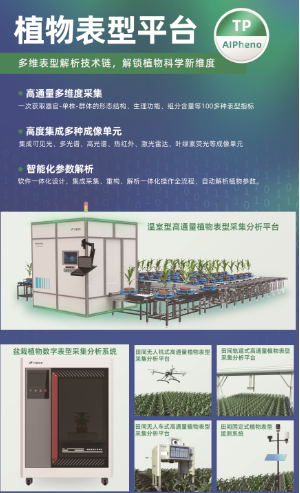 植物表型_副本.png