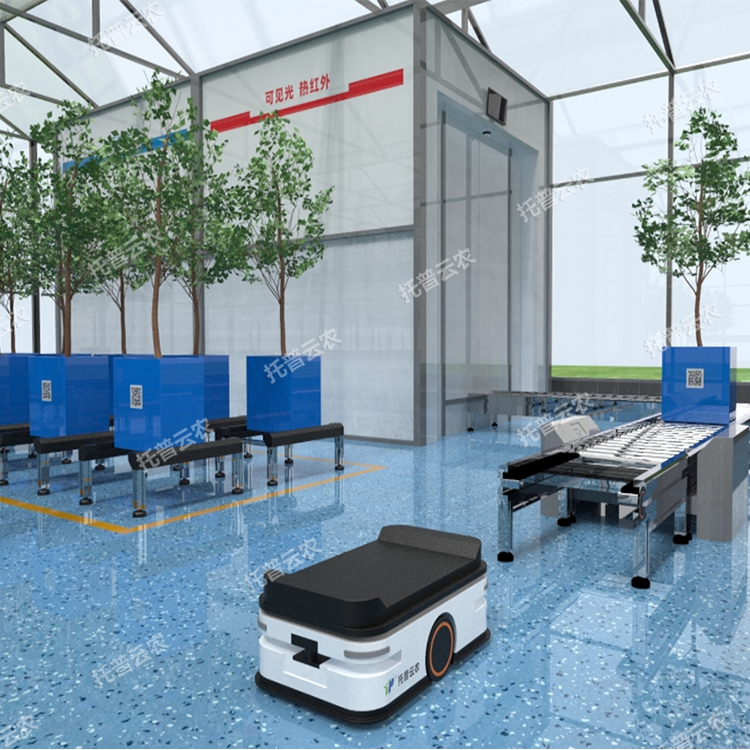 盆栽果树高通量植物表型采集分析平台