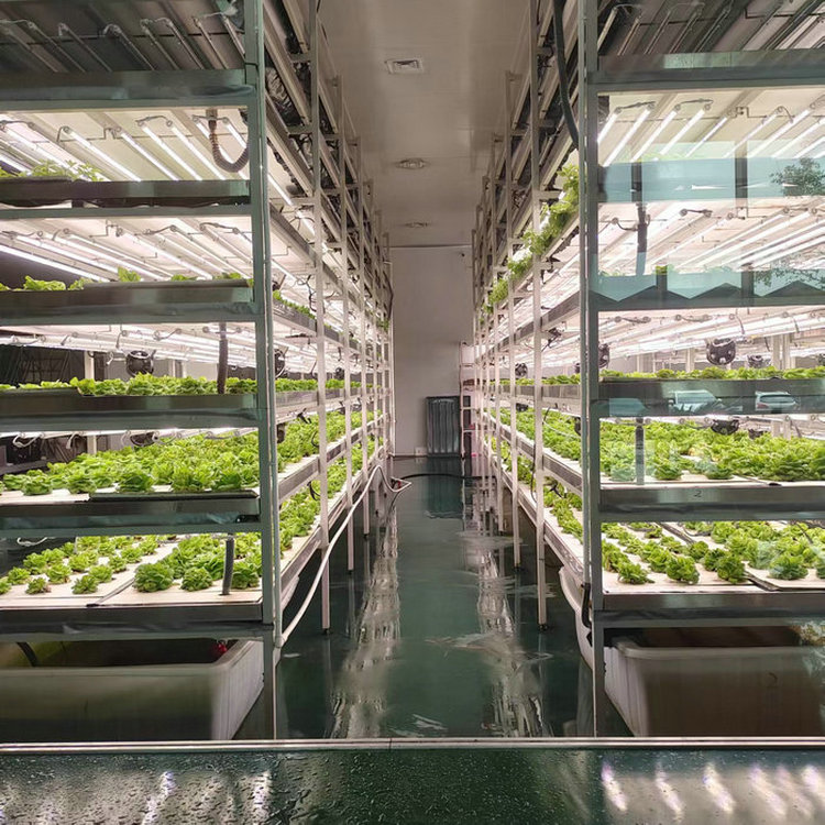 农作物育种植物组织培养实验室建设解决方案