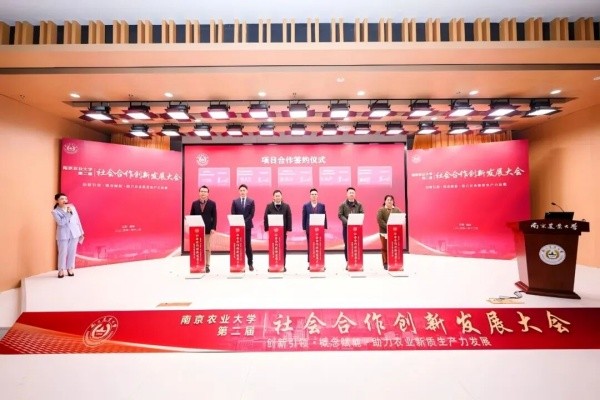 图片6_副本.jpg
